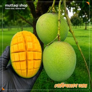 সাতক্ষীরার বাগান থেকে গোবিন্দভোগ আম 10 KG